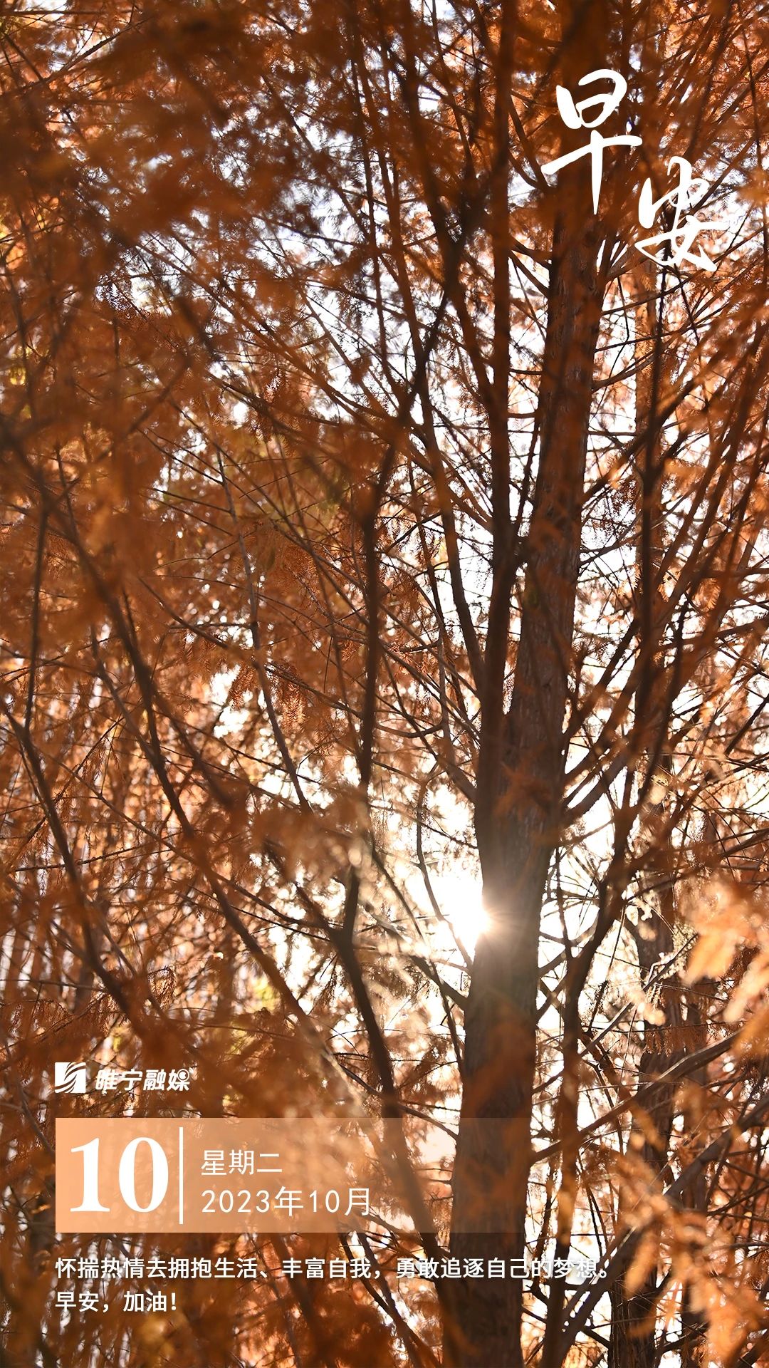 公开招聘村（社区）后